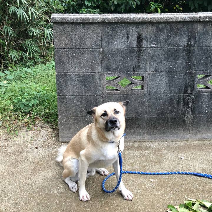 82d37b9a ecac 4b8b bcc1 afc8d87068da 1538823874562