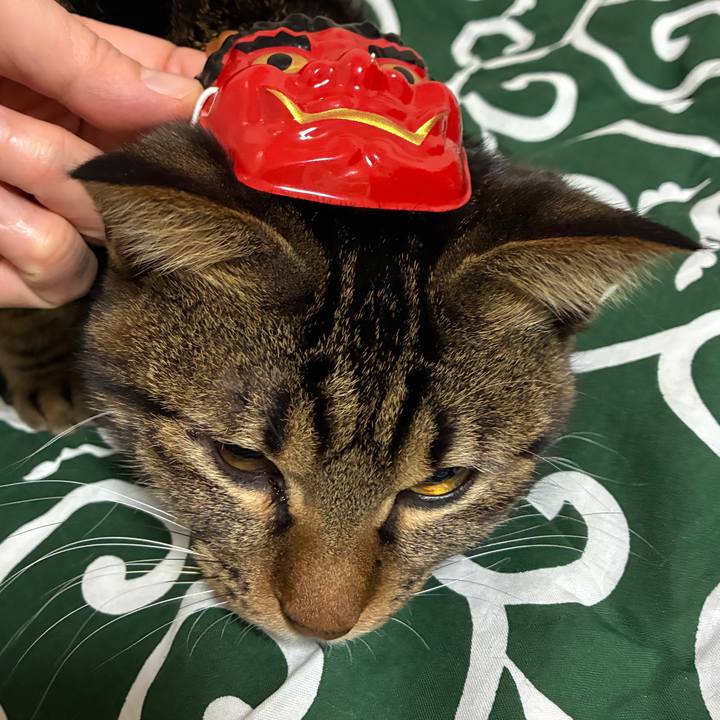 82d3a369 bb38 45a0 aa5e b63399f59ce9 1769861272587