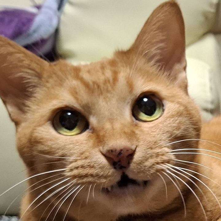 82d3cdab 0795 4e04 840d 29aa89d47e90 1737795461937