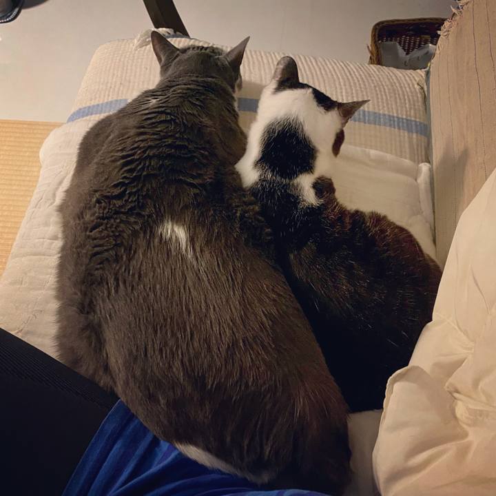 82d437b8 c8d2 4562 841d 179562766ad5 1653823953135