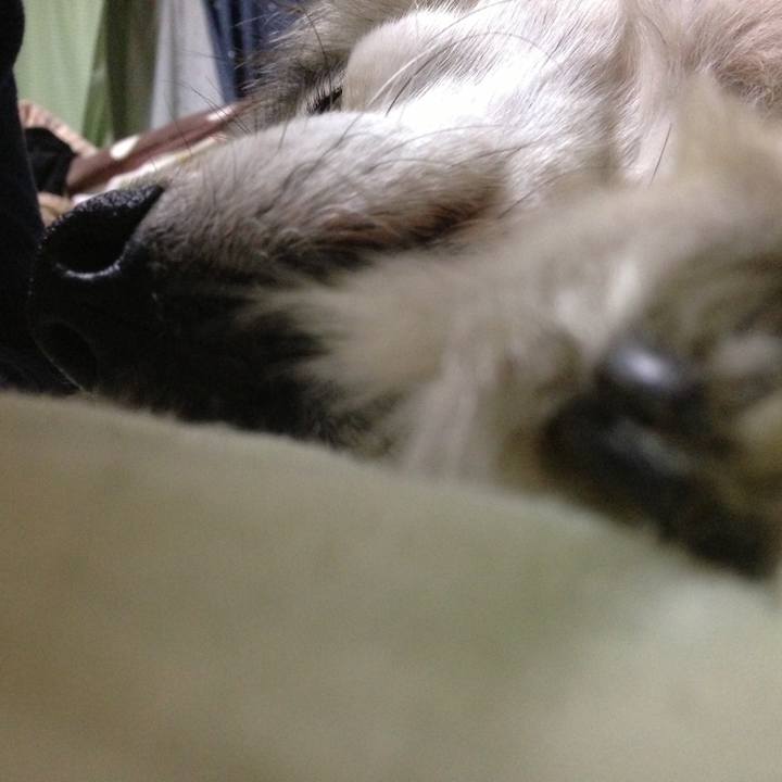 82d43fde ff33 4409 9768 c04d2682c0dc 1553251984062