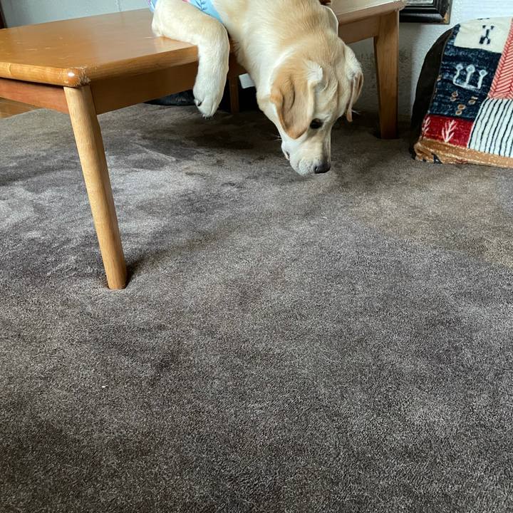 82d444cb 3cee 48b0 94a1 b26d227ec17a 1623982816853