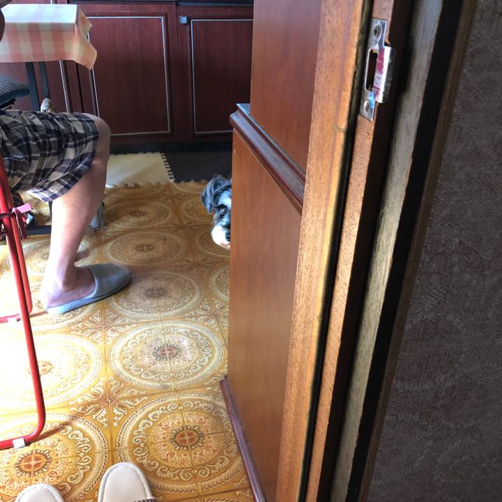 82d4a9bc 0258 443f 8468 62adb309bc64 1632564561275