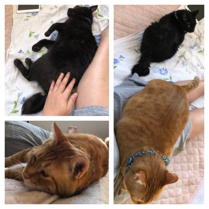 82d4ad46 2b09 4473 82eb ce0956342936 1559432240992