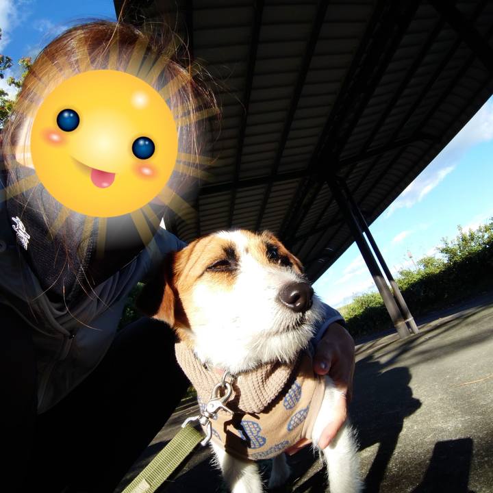 82d4b463 c599 4455 a919 131bc271d205 1634993273803