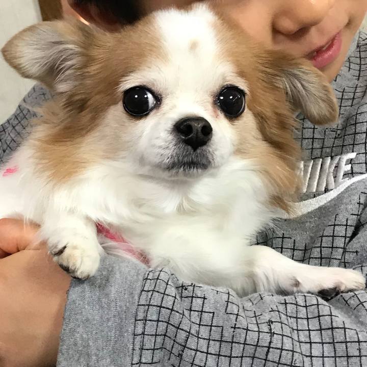 82d4c731 bb63 4c7b 9518 15d815cbb90d 1549179422945