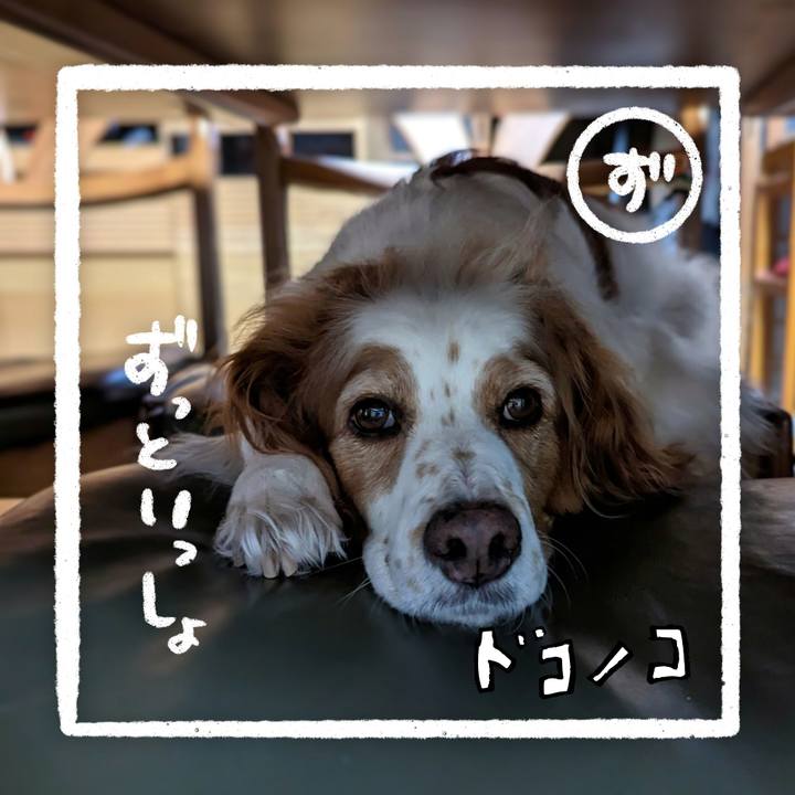 82d4d690 2f02 476a 9e43 c6dd1633791a 1685969201314