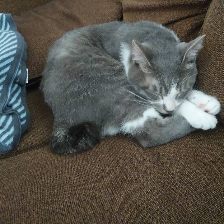 82d4eabd 5d30 4b33 9828 9ff5245a100e 1591932124912