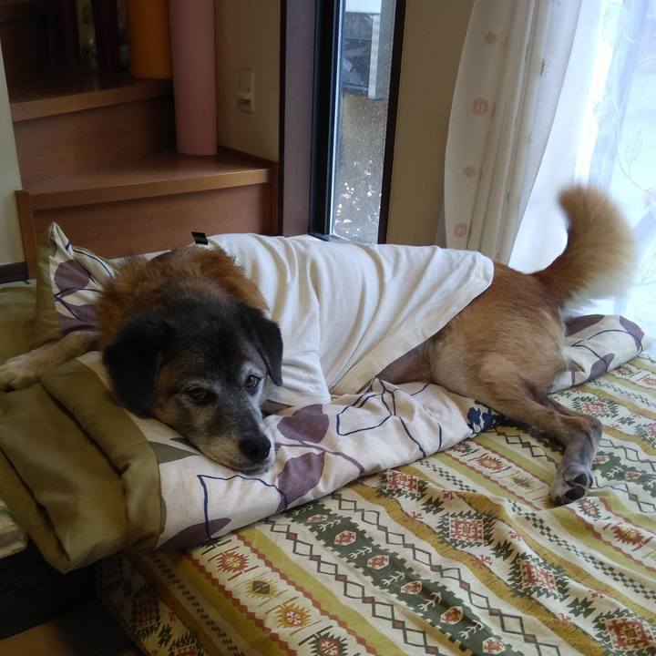 82d50330 2e53 4902 8ef4 96ba6998fca6 1571127544293