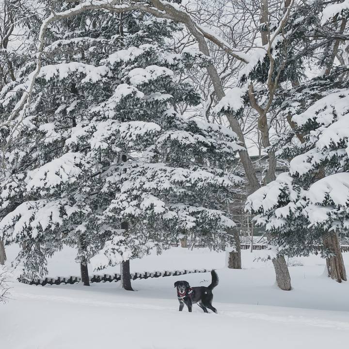 82d50e86 3a68 4220 af17 9982c1171902 1765519447847