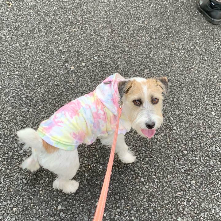 82d51dc1 0c52 4d8e b25c 2846e4f7f658 1668256617828