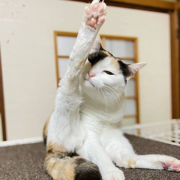 82d53036 0e4b 40ed 81cd 91461b5ff102 1648691403805