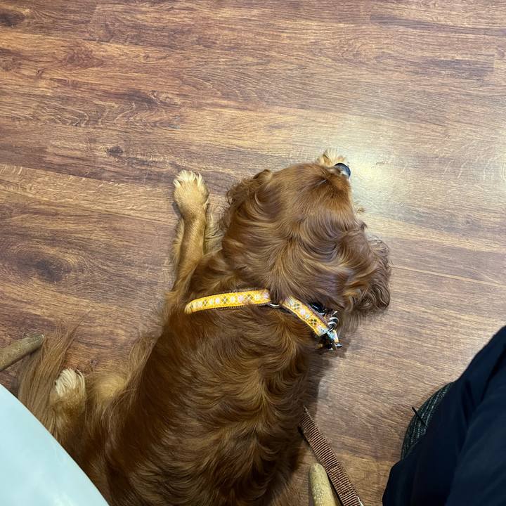 82d53995 dd64 4f73 93a2 1294f26157bb 1676076808878