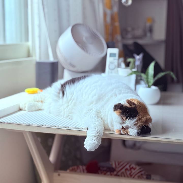 82d548d0 db35 48e9 af45 1358025f55c9 1747885874261