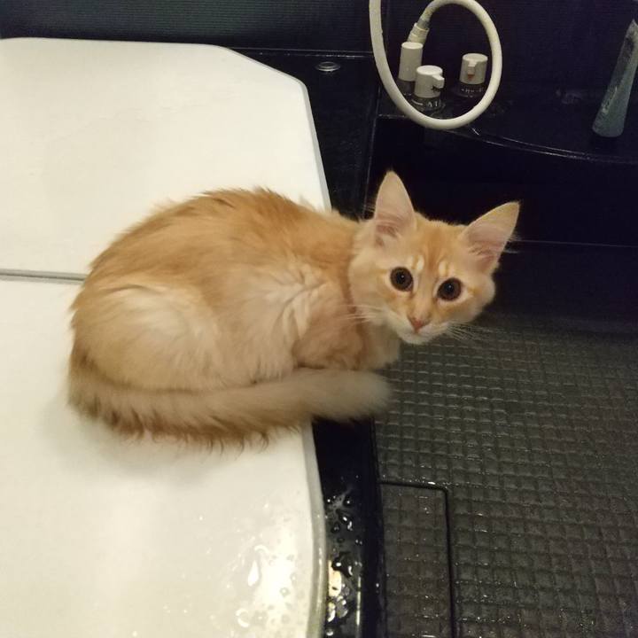 82d5494a a793 4b81 bf40 ad91c130c00b 1608759563989