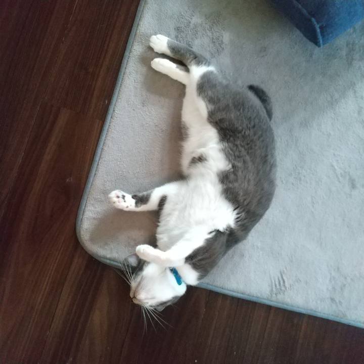 82d54af4 515c 4077 bdad c91e0810e85a 1620683234654