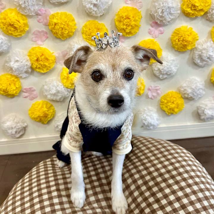 82d57773 2b4f 4936 822c c0ec5daf0fc2 1710896459538