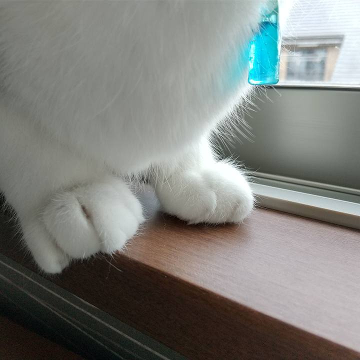 82d57e6a 462e 48d8 9c2a 10eebbb7528b 1645225528640