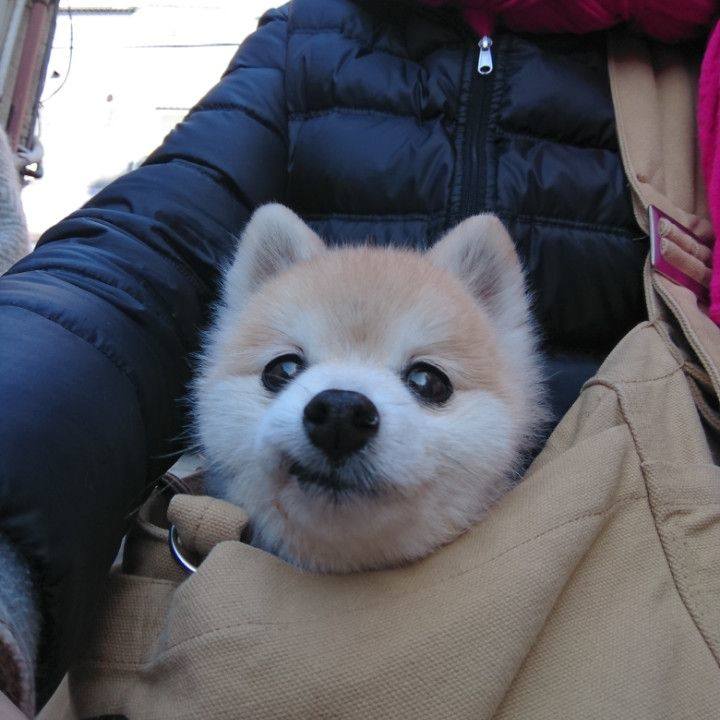 82d58f4e c714 4e24 997f 0013074bb2a9 1510920351872