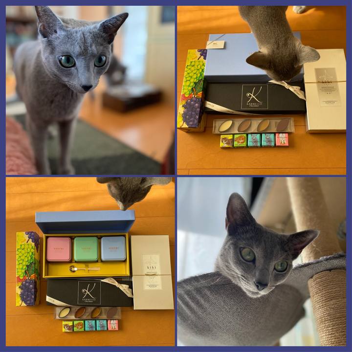 82d59ed2 1874 4ebd 8be6 03733890107f 1644384089582