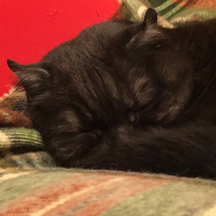 82d5a654 467d 4df6 8c72 6787c15bbd98 1554051096716