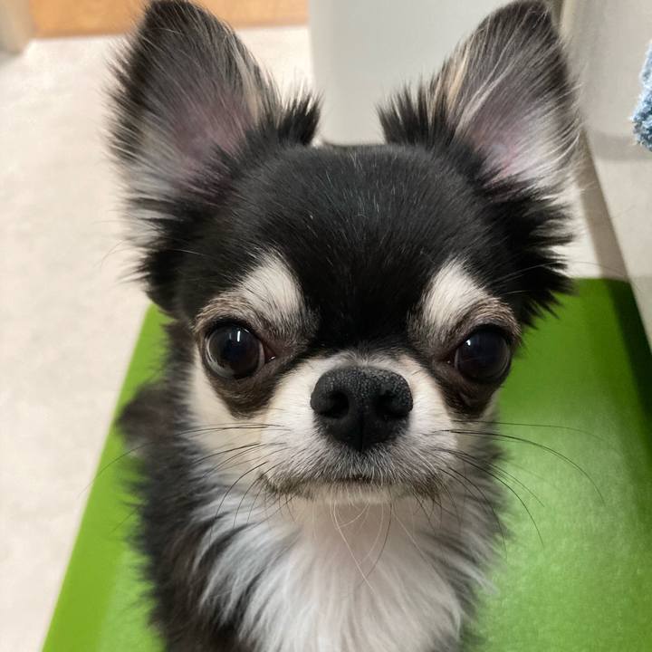 82d5c141 d58b 481a bb78 6a0023e25bb4 1619703351562