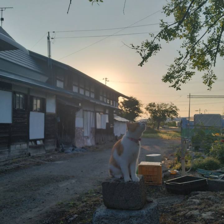 82d6039f 066a 449f b10e f4e18e8b6df4 1750192524770