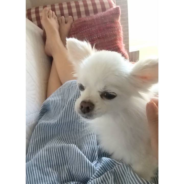 82d62827 ab07 4352 9e43 030fba82af67 1633213358788