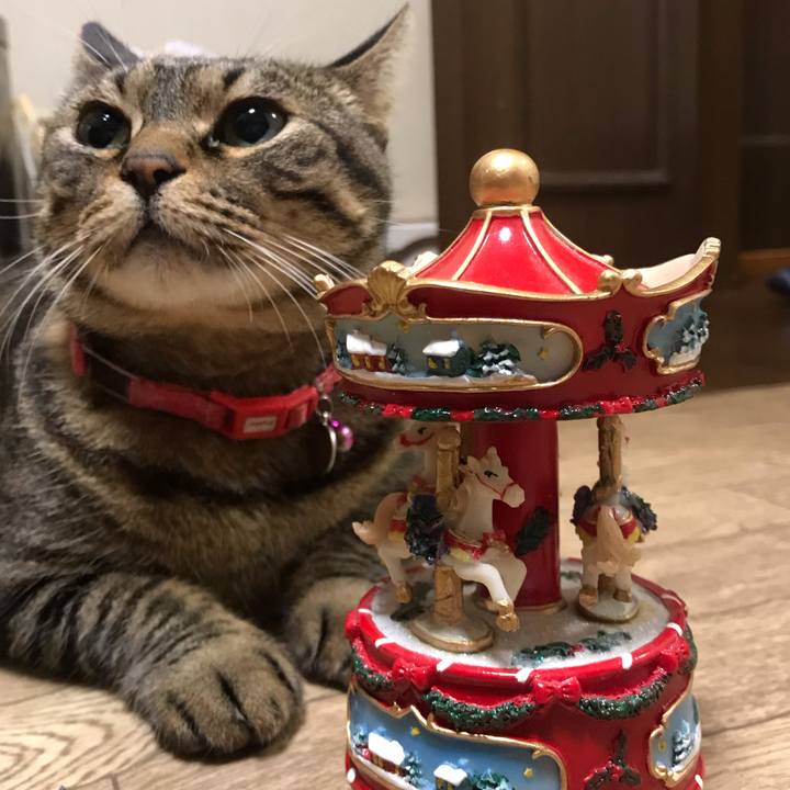 82d66bf6 959e 4acc 9f30 e0020be900a3 1545652671410