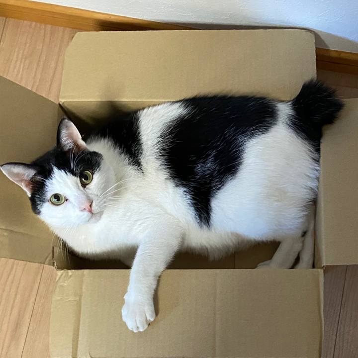 82d683ed 0c6c 461b 8ff2 107dfe51f104 1584356832016