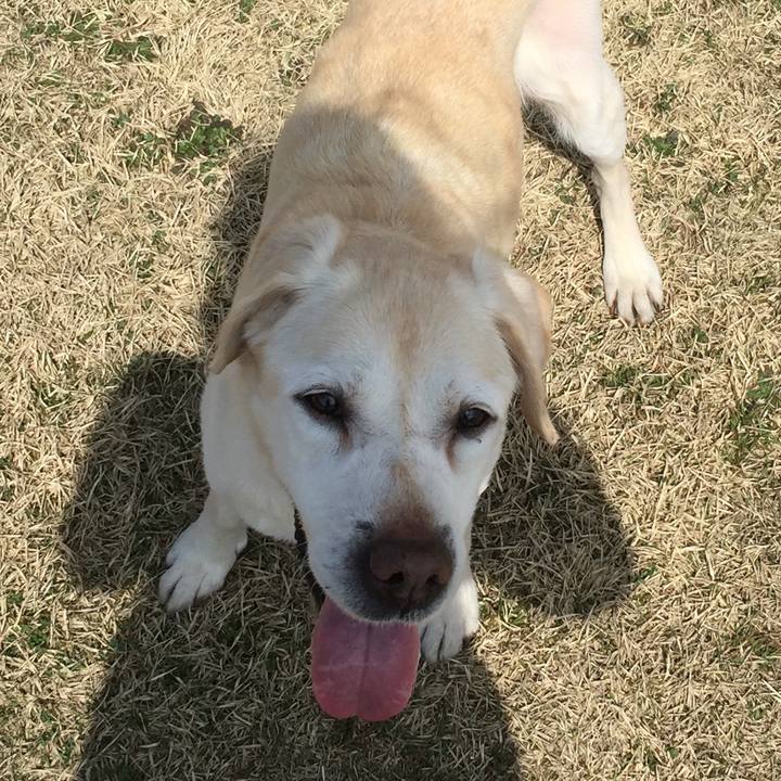 82d68af0 83a5 4e81 b723 c0b27cba3d0d 1526588390607