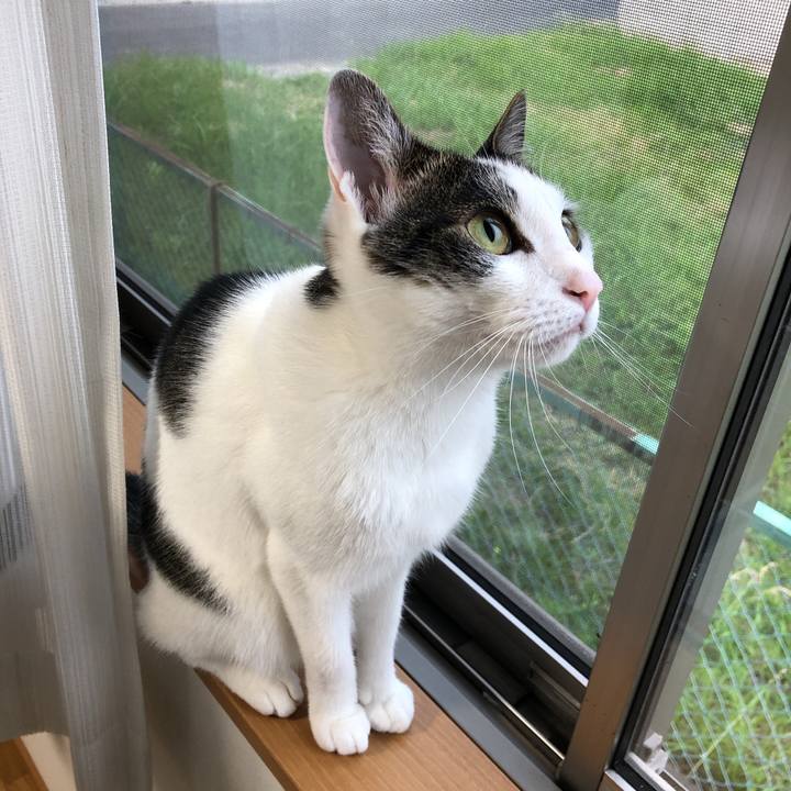 82d68b86 0087 4a07 aa2f 3619bd712785 1623617493085