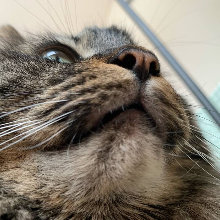 82d6956e 12b7 4a35 ad0d cd1e0e08c131 1739574252383