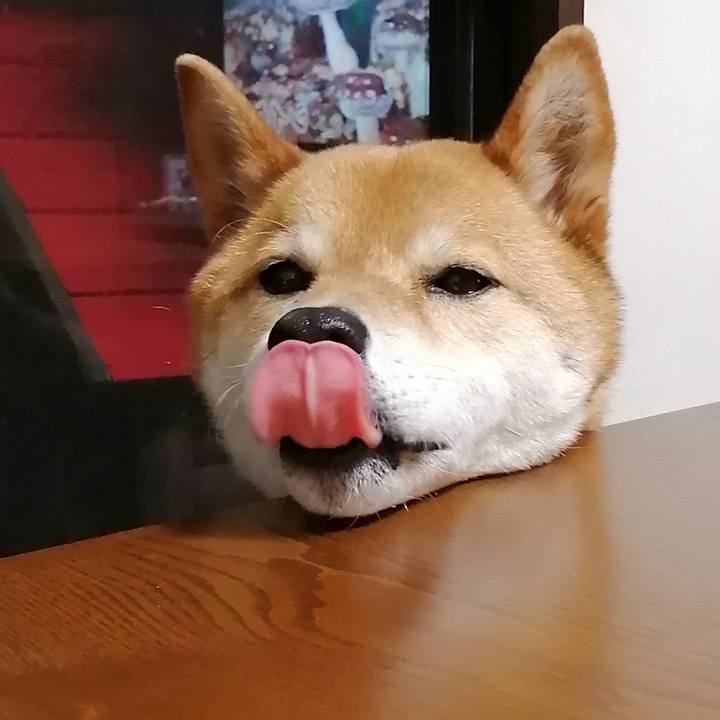 82d6d76d eb89 4854 8f7d 618a42193bbd 1587637418182