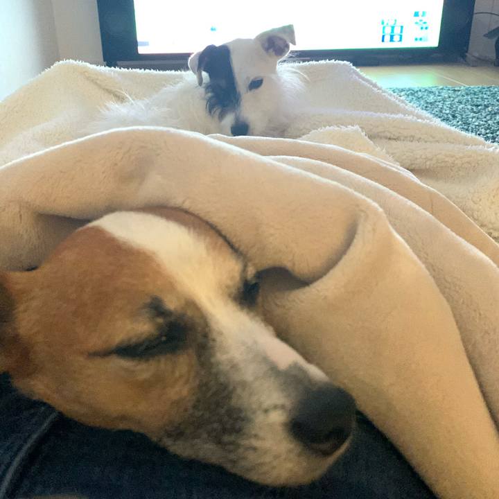 82d6f46f e9b0 41aa a41a 2ce302f5c342 1573994109729