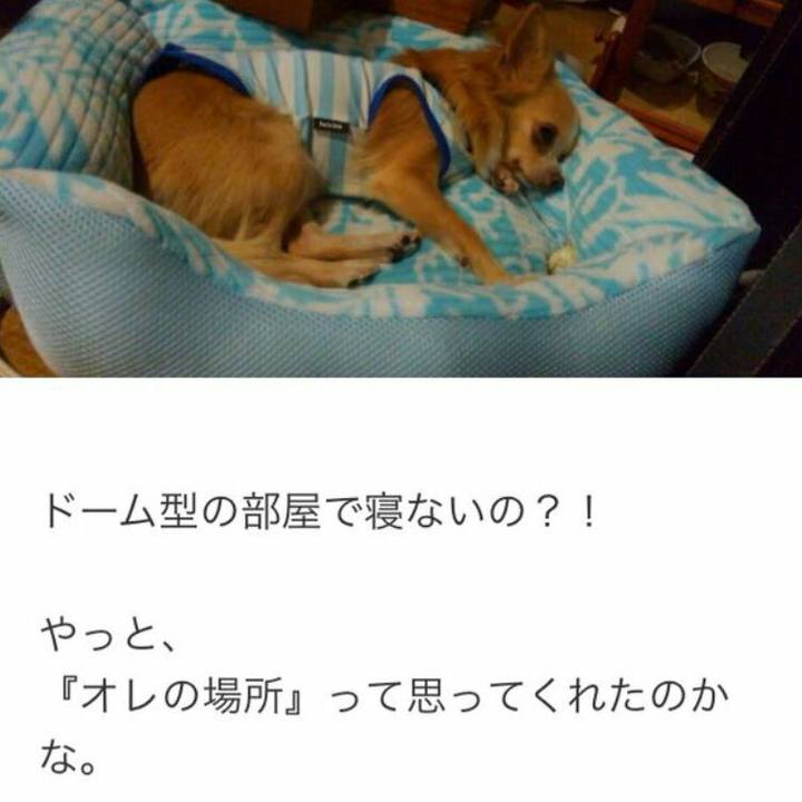 82d6f92b 7dfe 4f5d 8ec9 afa3cc098d09 1508313117212