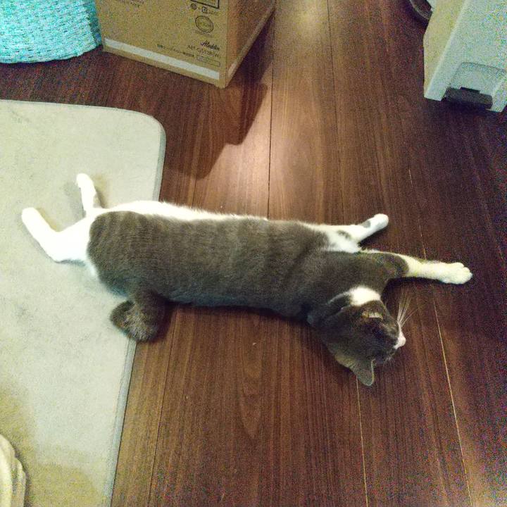 82d702b7 e053 4f16 b4b2 43e180565a86 1638874506858