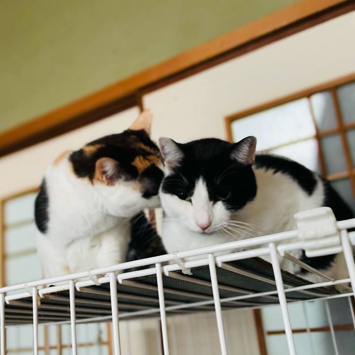 82d73138 3b6f 4151 99af cde6e294c92c 1640919204579