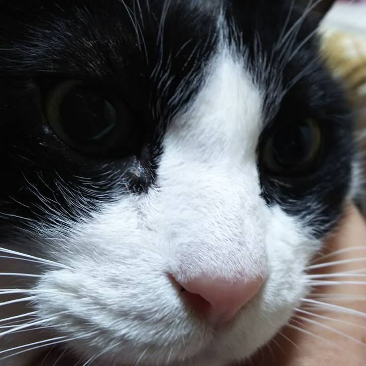 82d763d2 fcbd 427e a510 9884690ac0ff 1584486730626