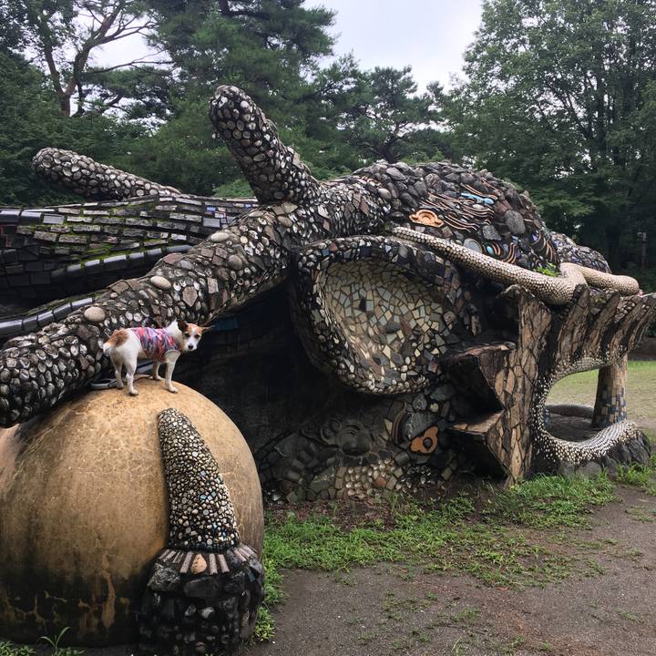 82d7a9f0 d77d 48d5 b779 1c57bf7acdca 1595806590319