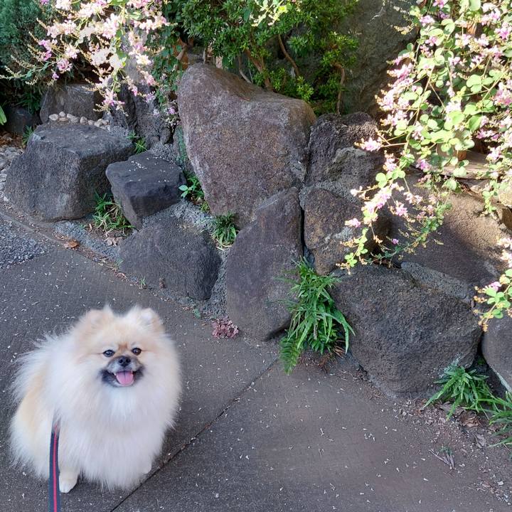 82d7b85e d14a 4342 b282 b2d0c04d51df 1697180125697