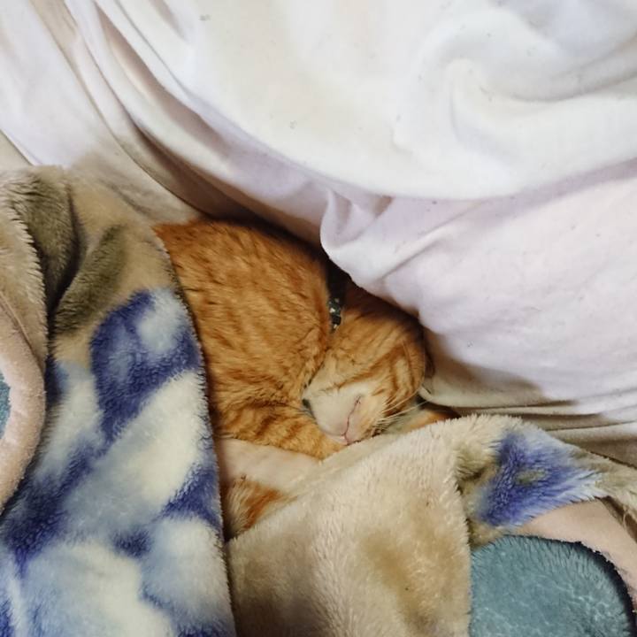 82d7bdaf e4a1 4565 9b7d d77b83d5c4c8 1654220065801