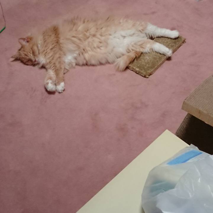 82d7c79b 9a9f 4033 94c9 5e0ad32b083f 1528338945353