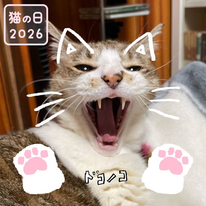 82d8271d 41c5 4bb9 ba79 4db470608fbd 1771771518219