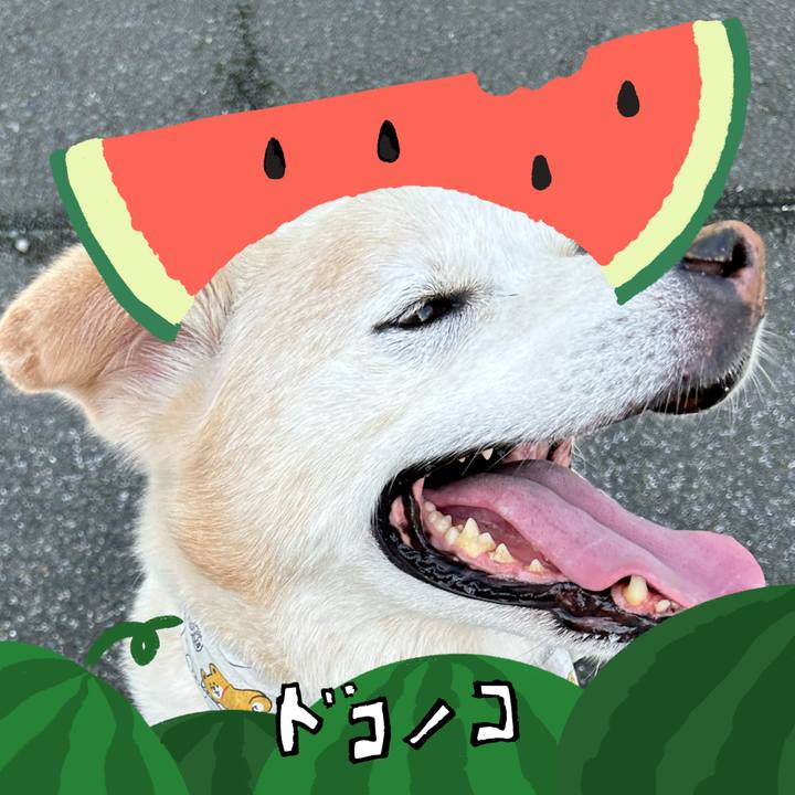 82d86837 ea53 44fb 8fcc f59bb86f4bbb 1721200416735