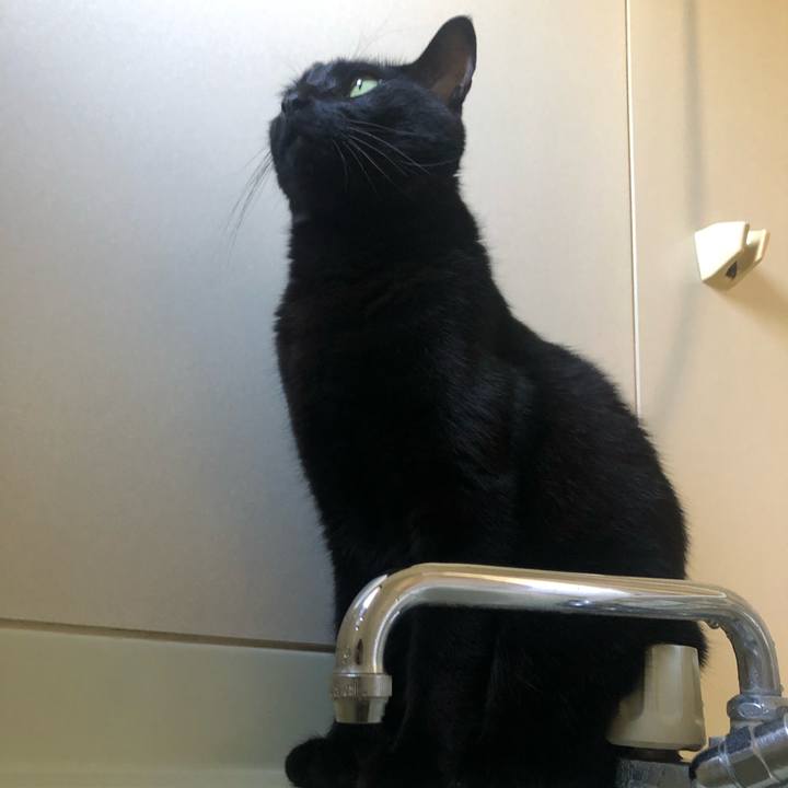 82d8740e db15 4726 82b7 24402a2dbca3 1656147088966