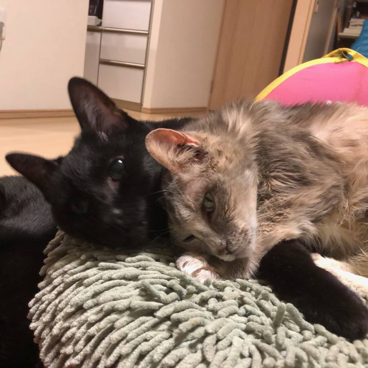 82d8a592 cb64 4de2 a72f 4c1e610b8cd7 1514631986955