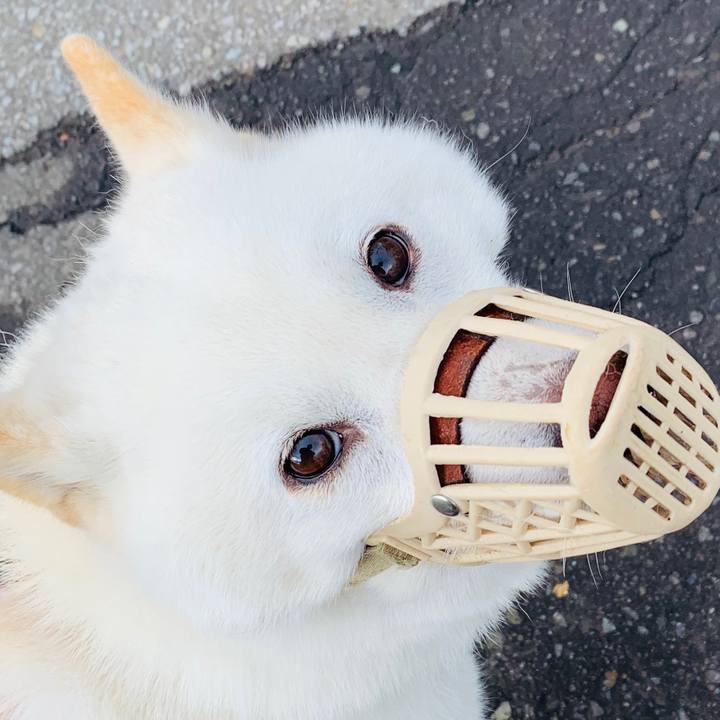 82d8bcbc feb4 487a 807e 9284277231be 1594070787822