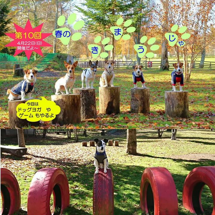 82d8c688 71be 4b91 a573 ea2b8eca47bd 1518356548824