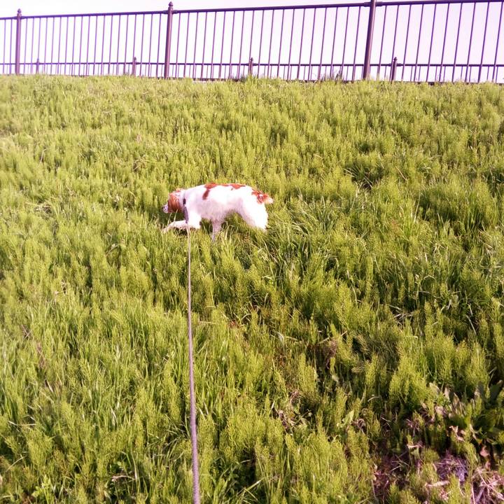 82d8f140 f589 4202 92c8 e01ff73696b4 1522628205972